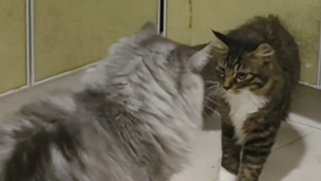 从没想过第一天面对面就这么融洽