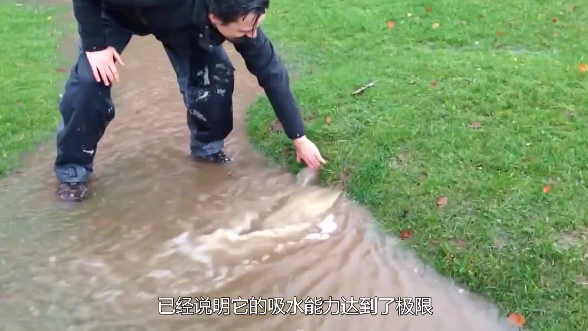 不可思议的“草坪水泡”，用水戳开之后，有趣的一幕出现了！