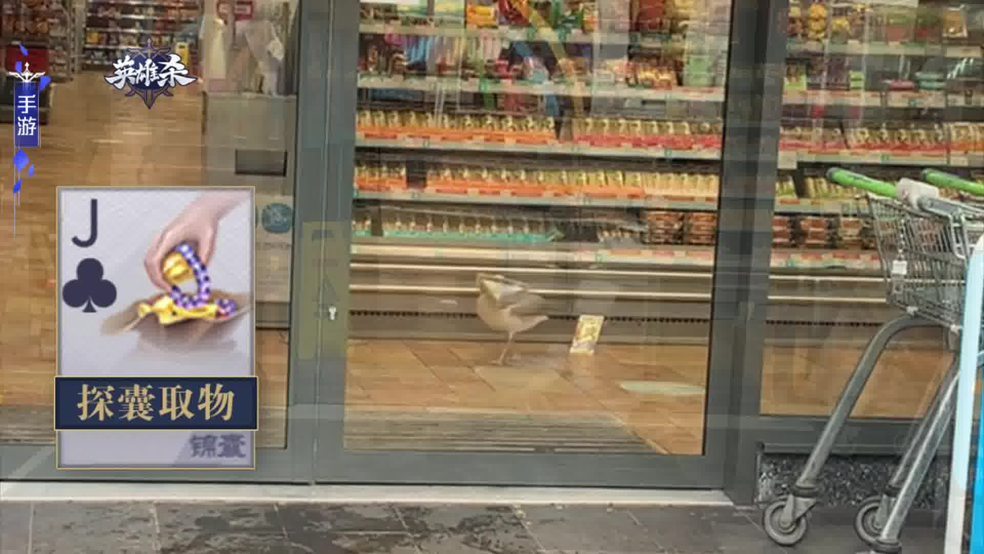 【英雄杀】探囊取物