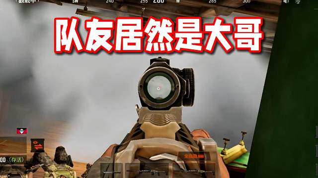 当你突然发现队友是大哥