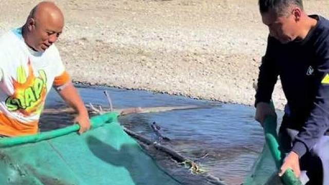 #户外捕鱼 #好多鱼