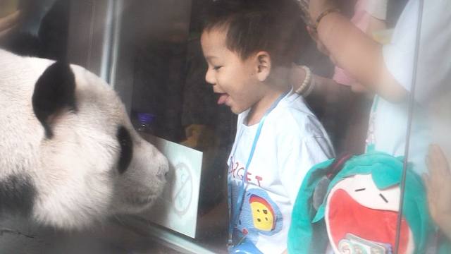 奶妈，我想养他~