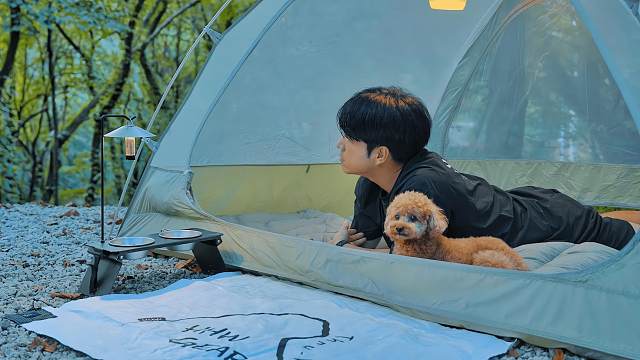 森林露营，与小狗在树林里安静的过一天！治愈野营 / 露营生活 / 柳营地