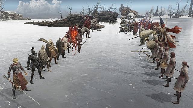 法环：幽影城VS圣树