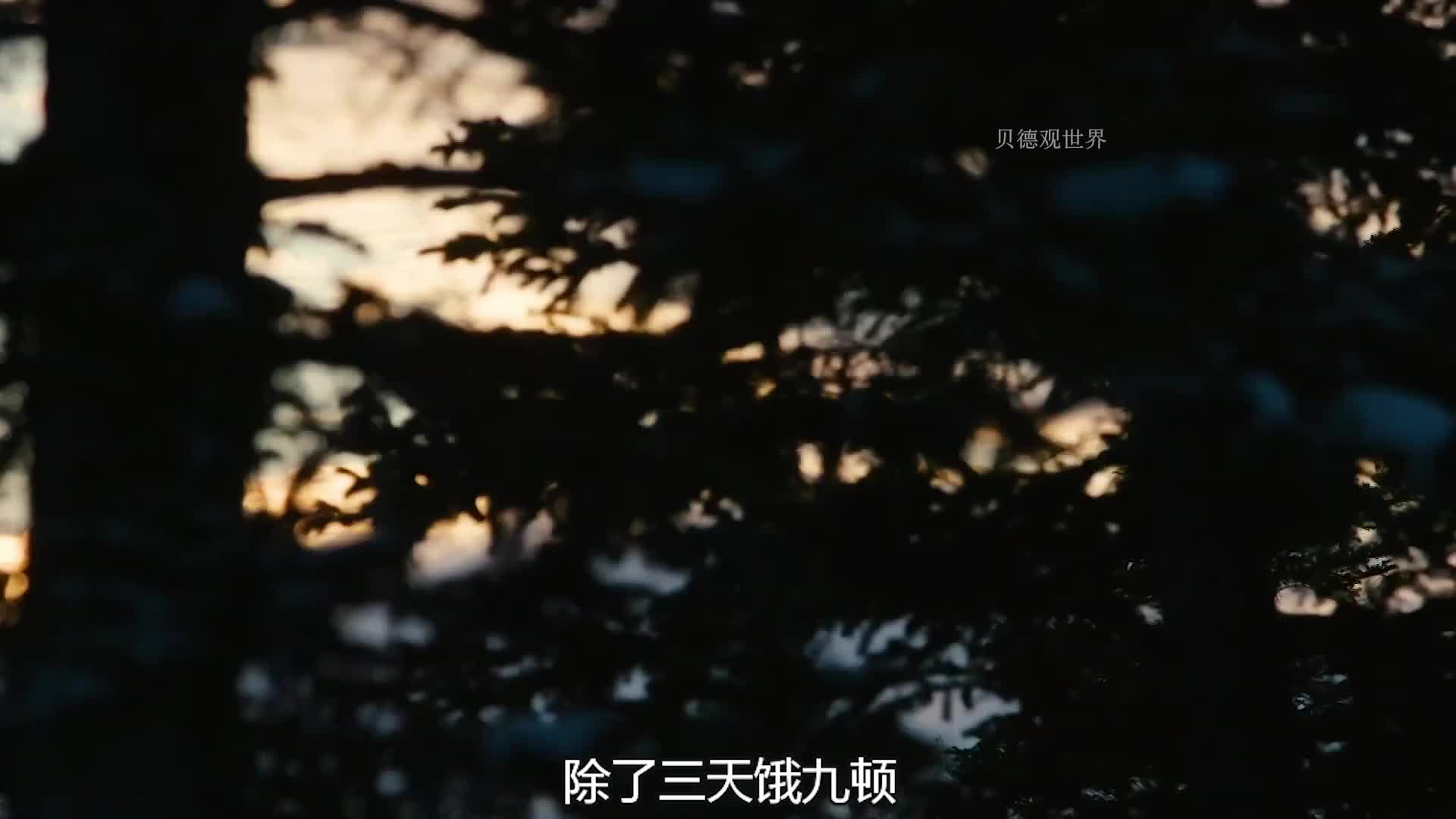 荒野独居第七季，到底谁能拿走100万美刀呢  (29)