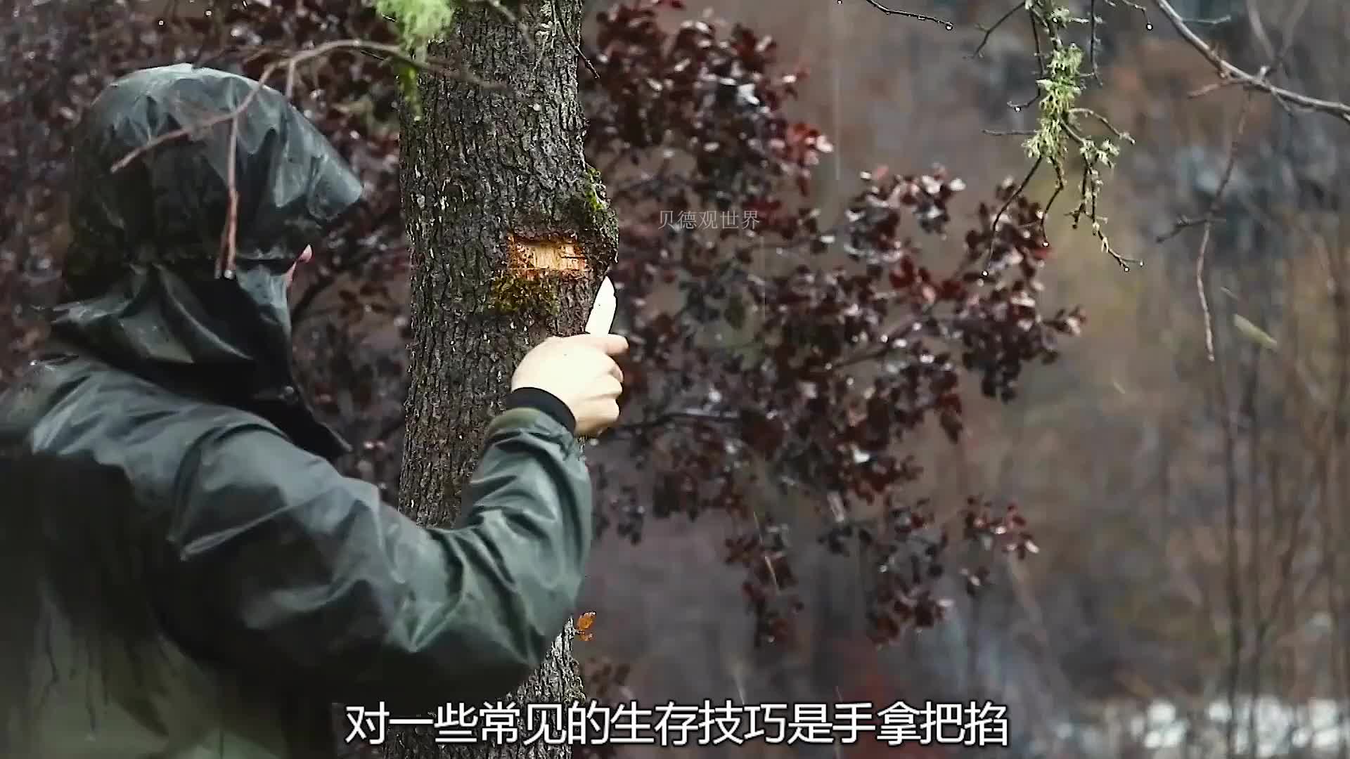 一口气看完荒野独居第七季  (1)