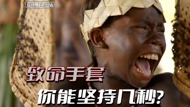 【陈睿】被子弹蚁咬是什么感觉？成人礼的新体验，十级疼痛！