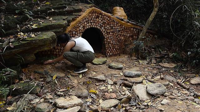 这才是真资格的牛人大姐大，丛林中发现的卧石缝，完美打造出庇护所