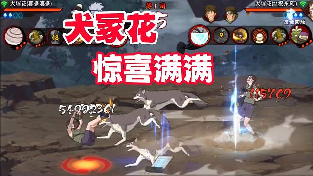 犬冢花惊喜满满，刚上手就让我满意的忍者可不多！