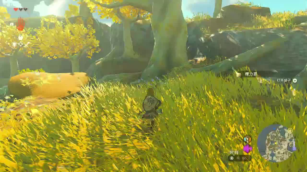 王国之泪-再临负2