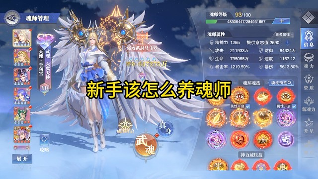 新手该怎么养魂师