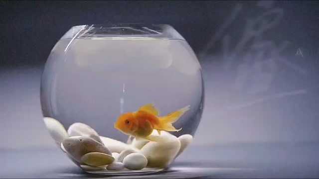 记住再忘记真的好难