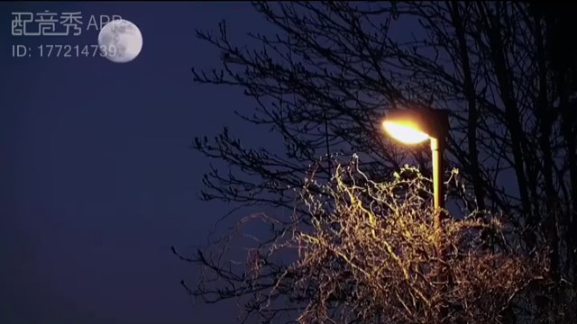 直到现在，我依然觉得自己还没有长大