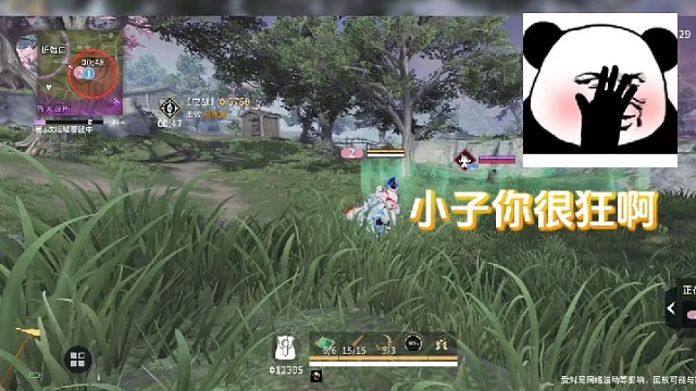 关于岳山开大的问题