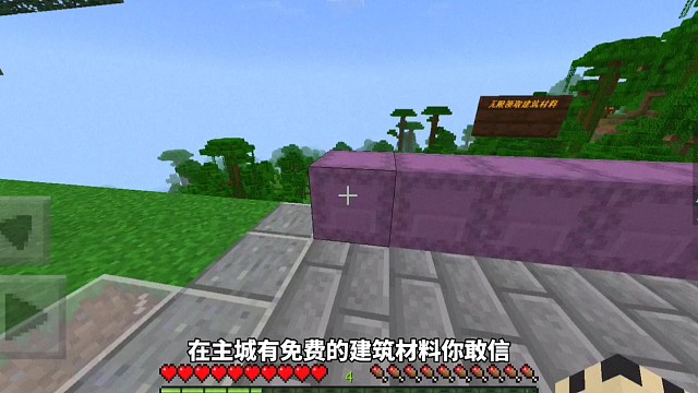 我的世界：一个生存服务器