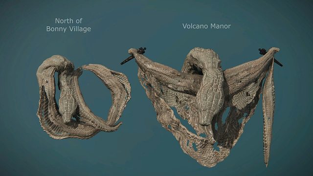 《艾尔登法环》中出现的各种蜕皮