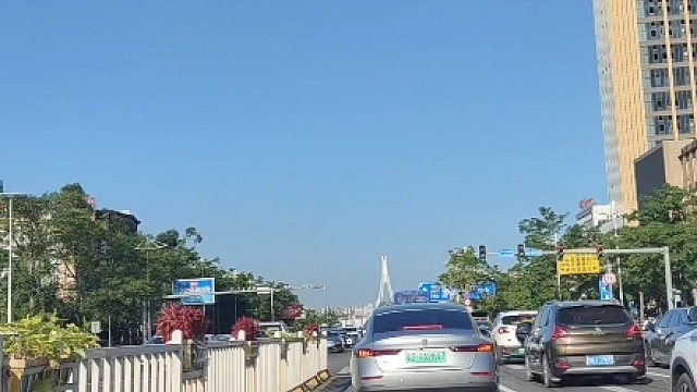 终于知道深圳交通秩序这么好的原因了#深圳交通