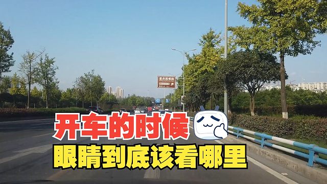 开车时眼睛到底应该看哪里，为什么新手会困惑，感觉看不过来