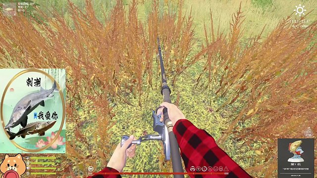 帮老板圆梦星鳇的一天