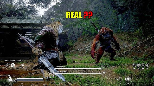 黑神话悟空：虎先锋VS虎先锋