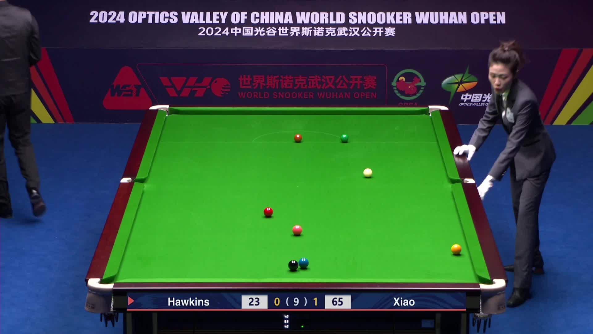 巴里·霍金斯VS肖国栋2024斯诺克武汉公开赛 清流