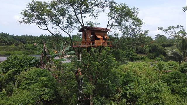 这才是真资格的牛人兄弟，任凭刮着炸裂的狂风，爬山10米高空架起了树屋