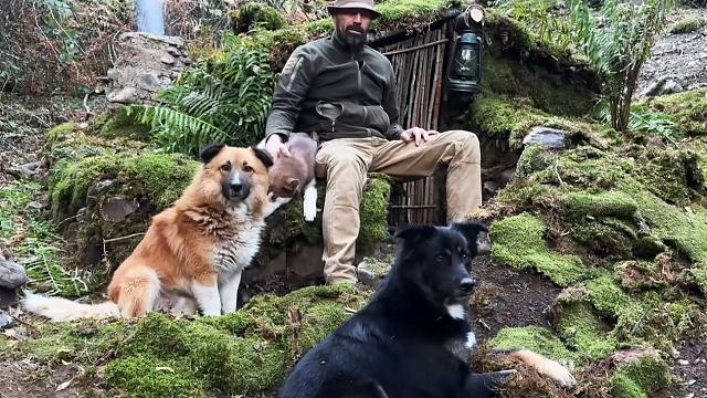 带上我的狗子进入荒野之中，建造出一套避难所，夜晚狐狸出没还好不用怕