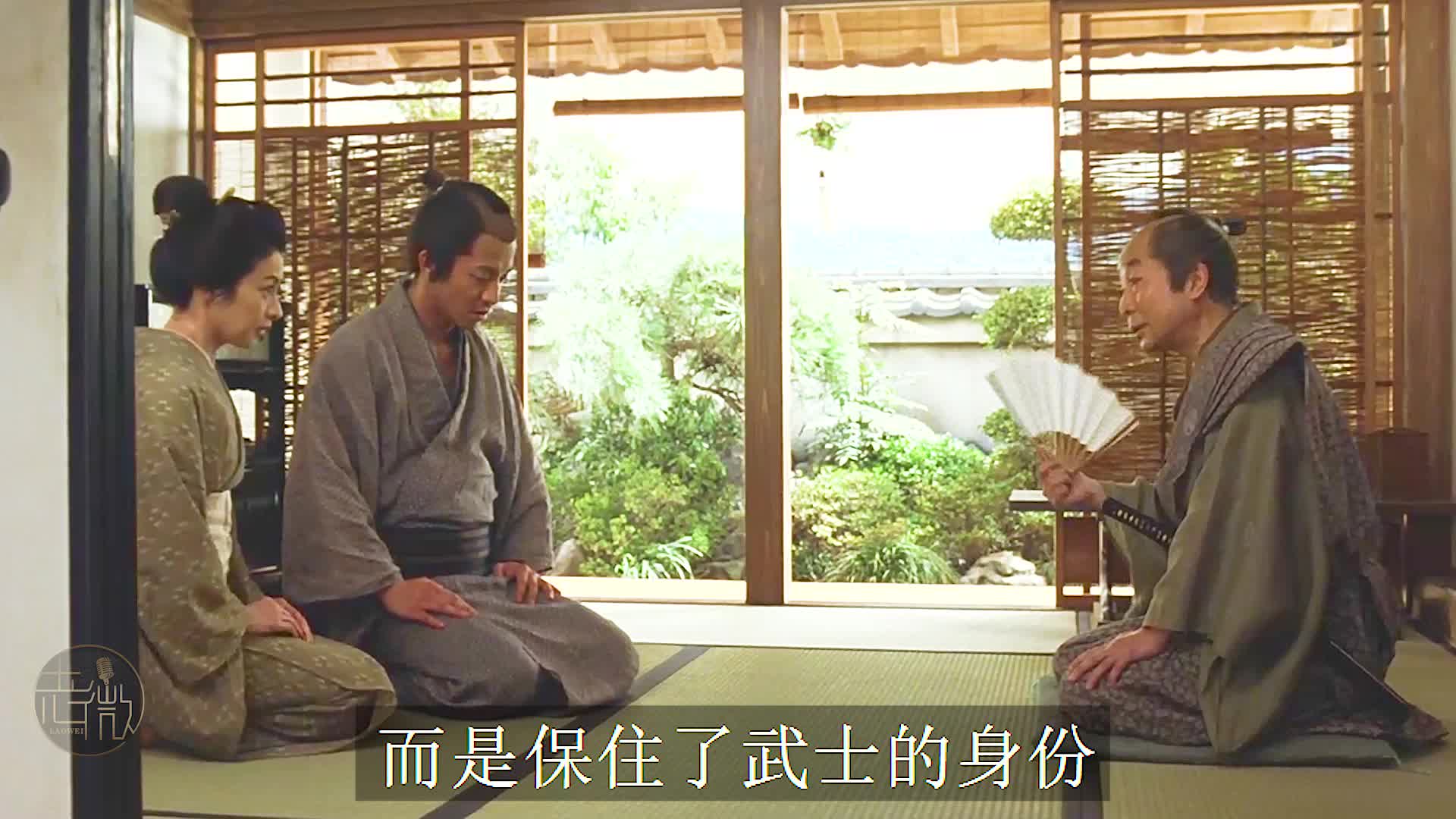 这电影解说绝了