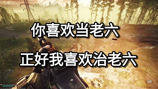 你喜欢当老六  正好我喜欢治老六