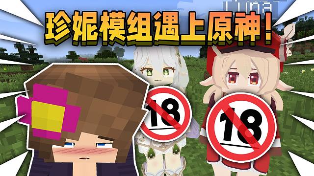 当珍妮模组遇上原神！实在是太离谱了