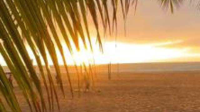 爱你不止玫瑰花