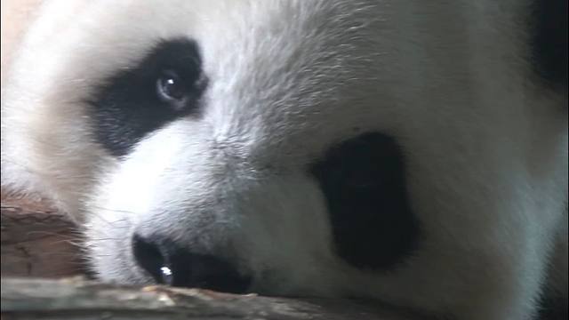 姨姨拍好了吗，宝宝困困啦#