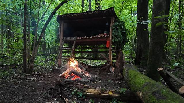 进入森林就听见狼嚎，这里过夜一点也不安全，得建造高一点的庇护所！