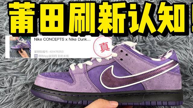 不敢相信！福建顶配的dunk紫龙虾，居然过验了！！