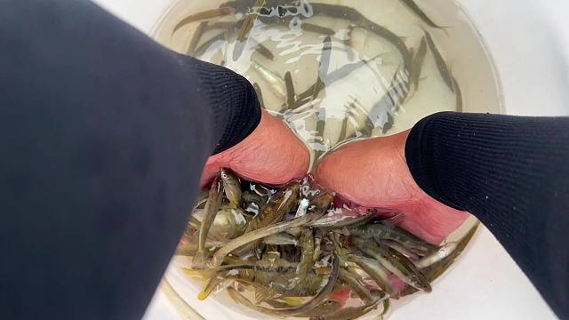 这个钓点第一次来，没想到一小时也钓了这么多