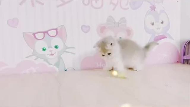 快来接受今日份的治愈和美好吧