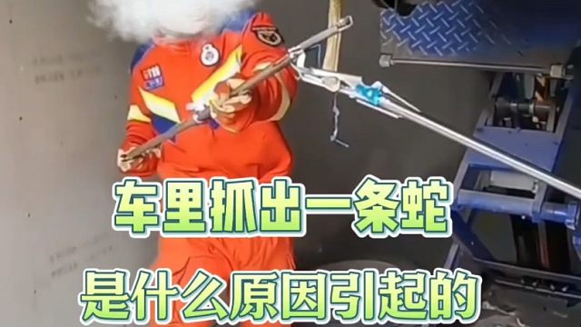 汽车内外循环你真的会用吗？很多新手司机都不知道