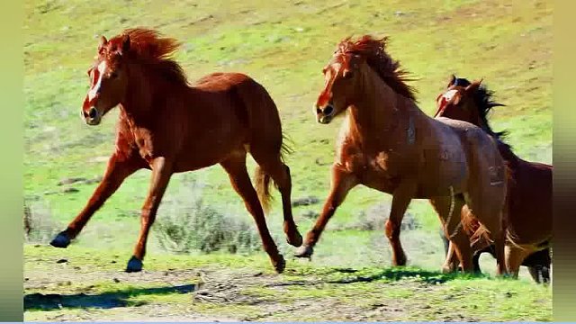 脑子够用吗？这东西越早吃越好！