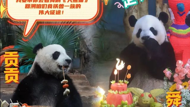 最强猫粉征集令！海野专属福利回馈！