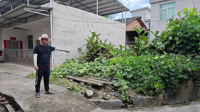 70多岁老奶奶，花3元买了两株南瓜苗，现在院长越不对劲