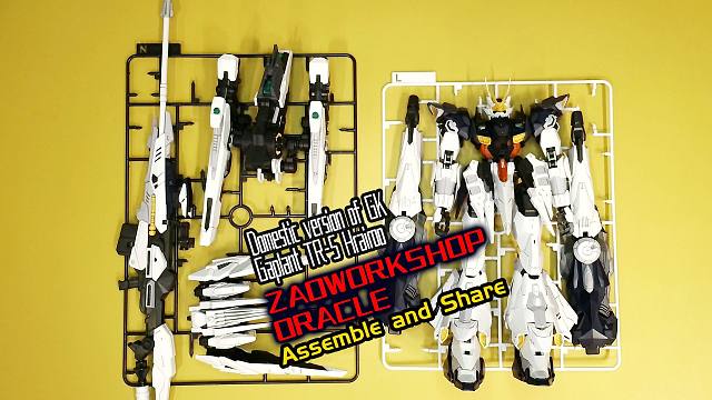 国产版魔改版加普兰TR-5赫瑞欧，造神谕！拼装分享！