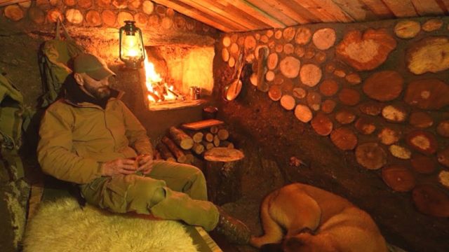 秋风萧瑟，寒意渐浓，一人一狗闯荒野