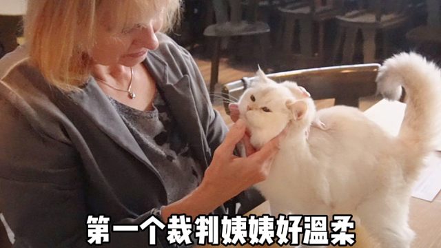 圆脸小猫去比赛，每一个裁判都要捏她脸脸