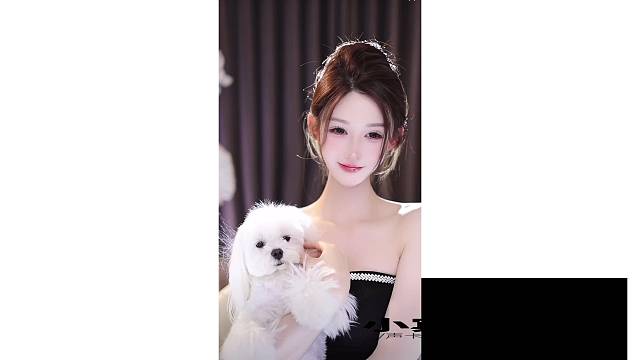 把光打好了视频颜色调好了小狗都变好看了