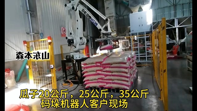 山东码垛机器人公司，机器人码垛机设备专业生产，瓜子用的的码垛机多少钱#码垛机器人 #机械手 #堆垛机