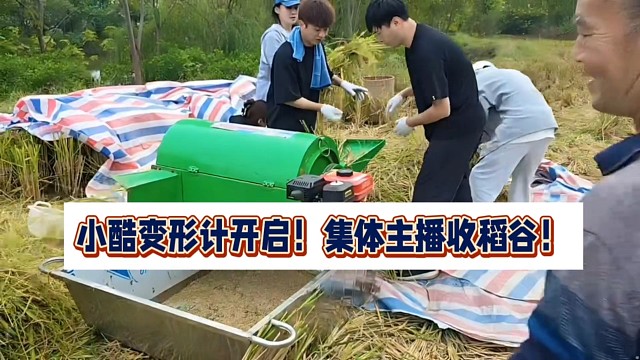 小酷变形计开启！集体主播打稻谷！