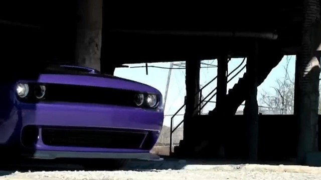 家中有这样的猫你会不会每天都撸猫 #道奇地狱猫 #男人的梦想车