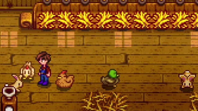 这个鸡在啄食耶！