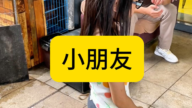 让小朋友养只狗也是不错的选择