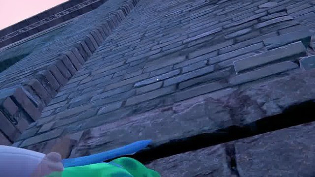 真就壁虎游墙了！